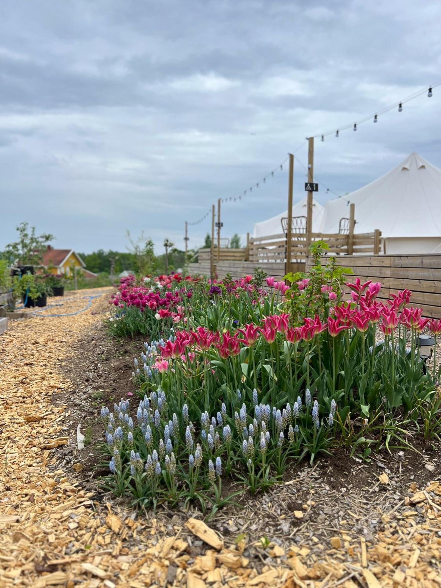 Vaettervy Glamping Hotel Habo Luaran gambar