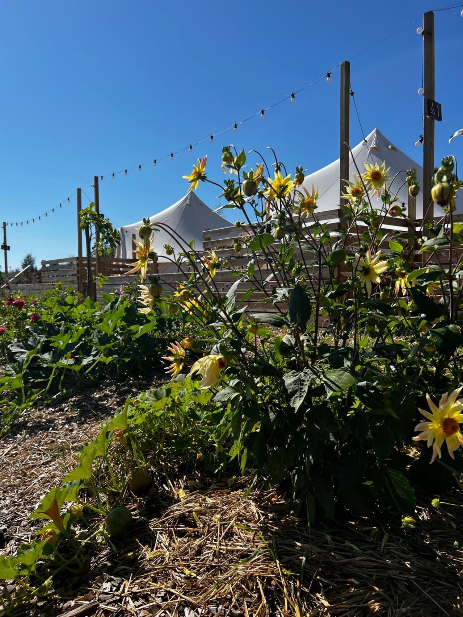Vaettervy Glamping Hotel Habo Luaran gambar